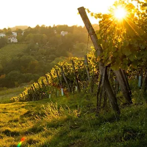 Vibestudio 304 - - Ac - Near Parking , Wiedeń Austria